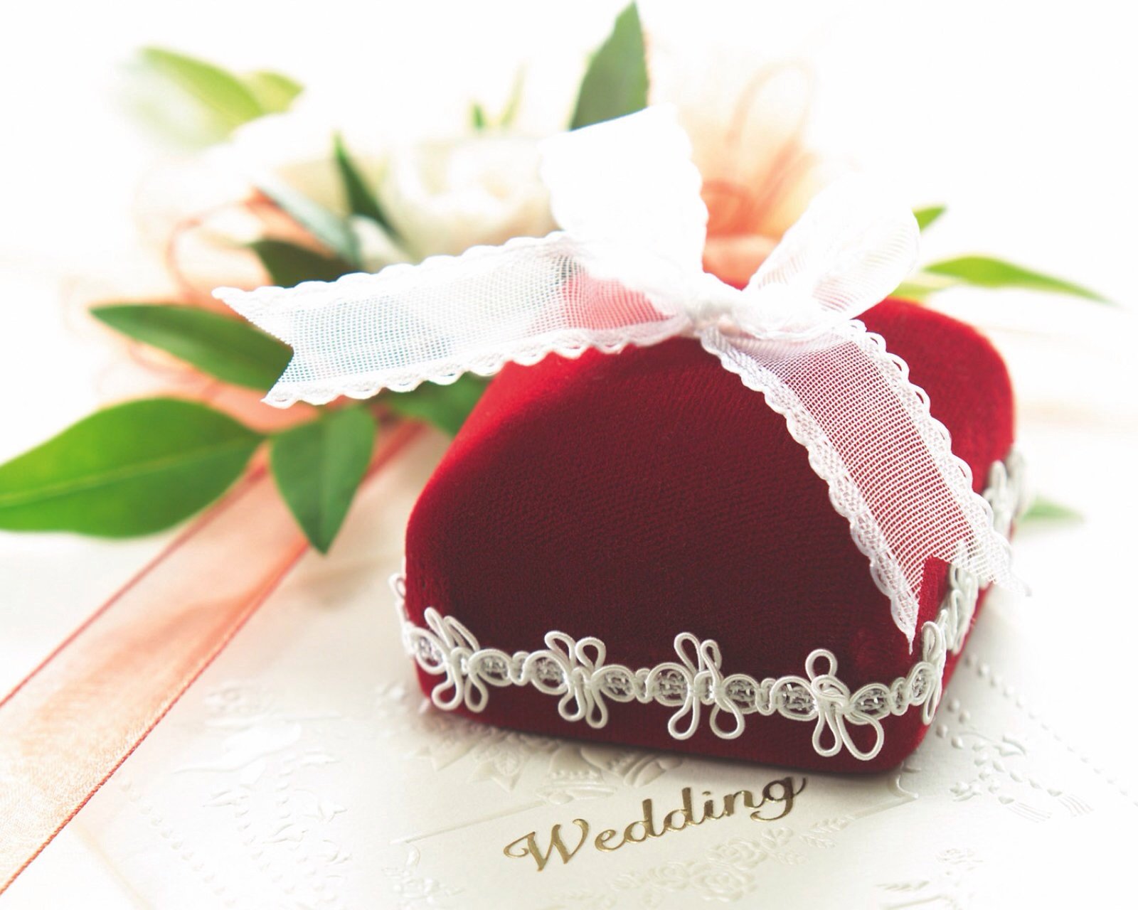 小清新,儿童桌面专用