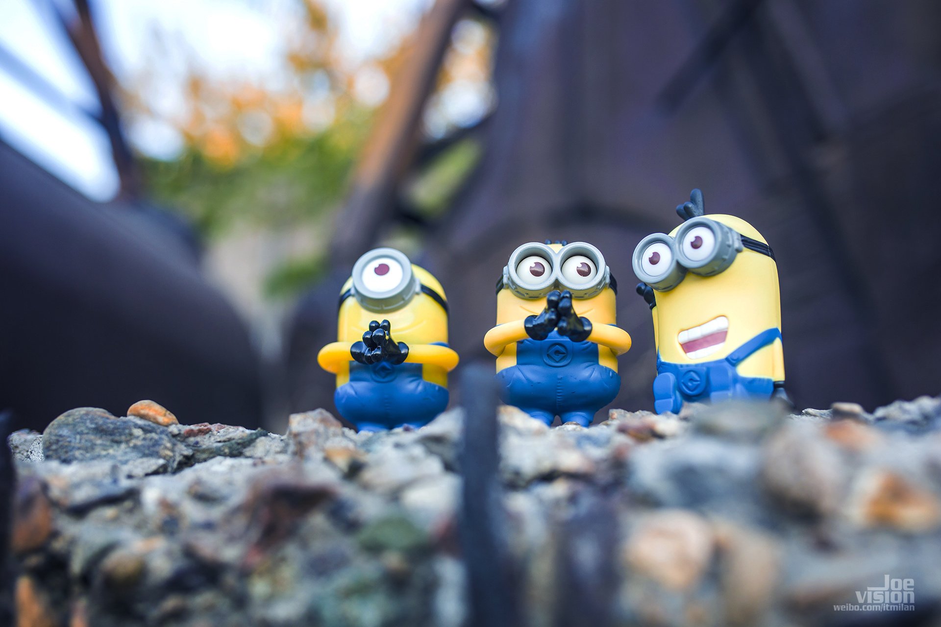 电影,卑鄙的我,神偷奶爸,小黄人,摄影,小黄人专辑