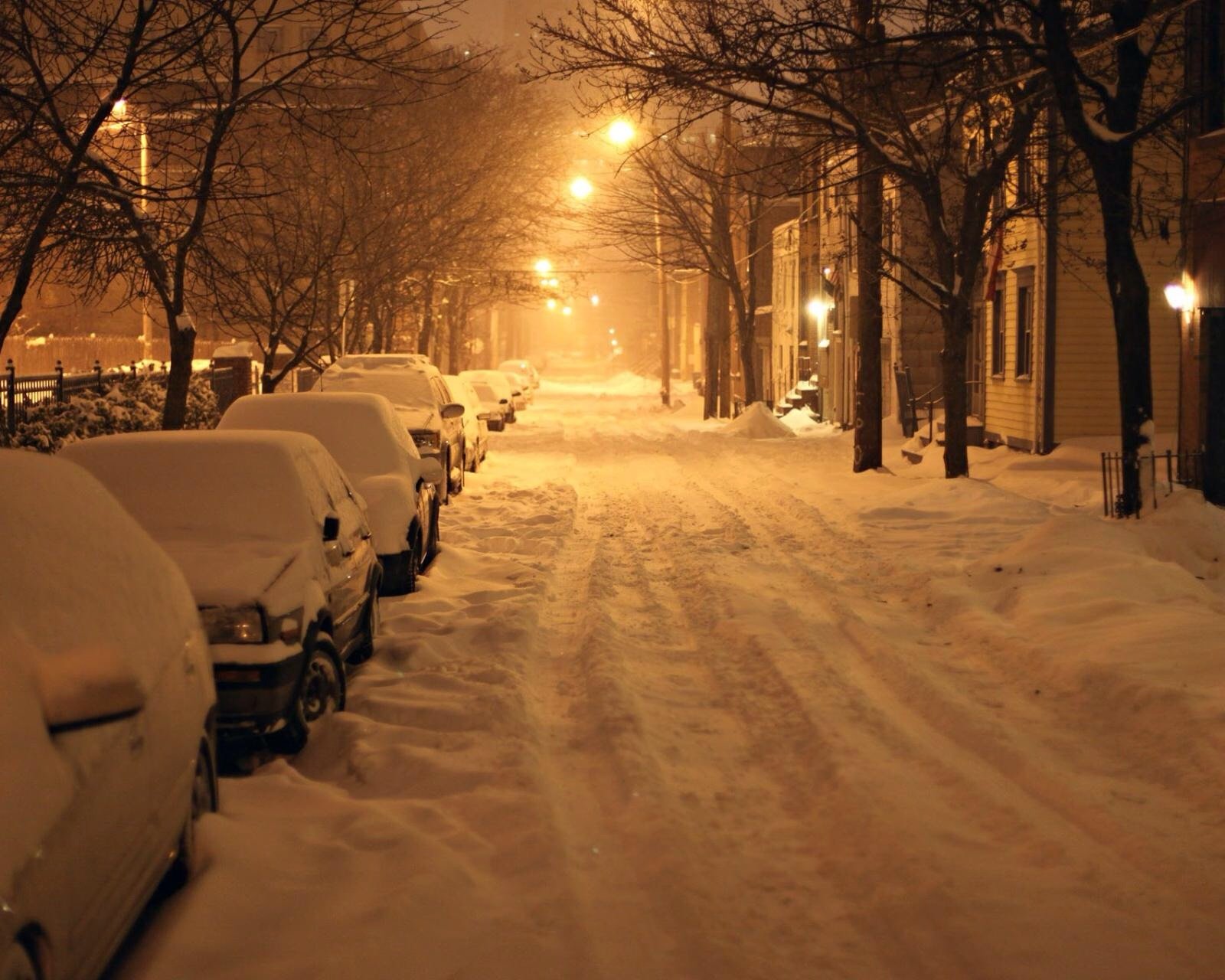 风景,儿童桌面专用