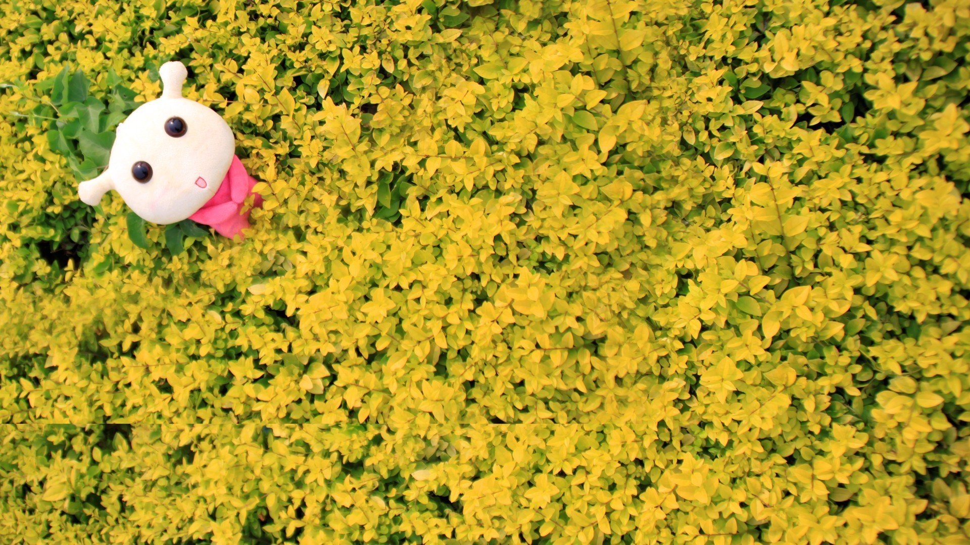 小清新,意境,LOMO,非主流,儿童桌面专用