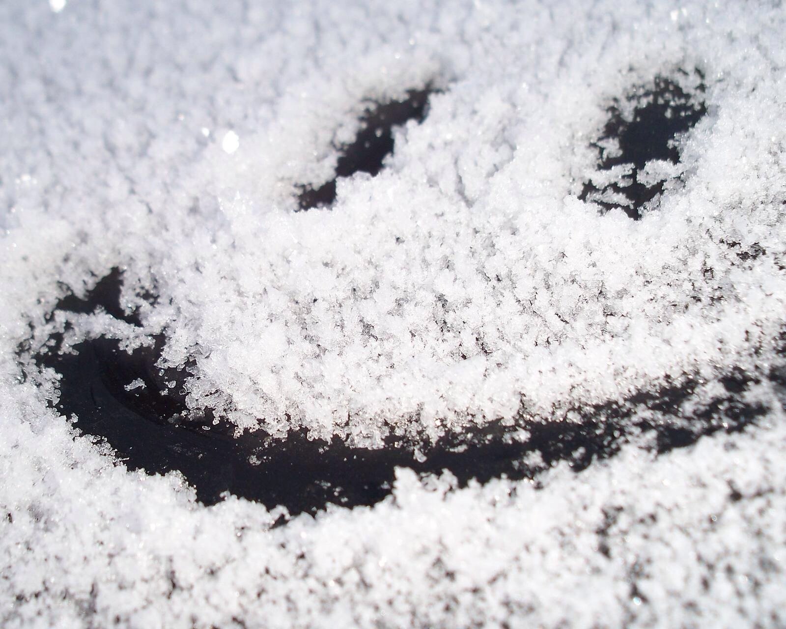 风景,儿童桌面专用