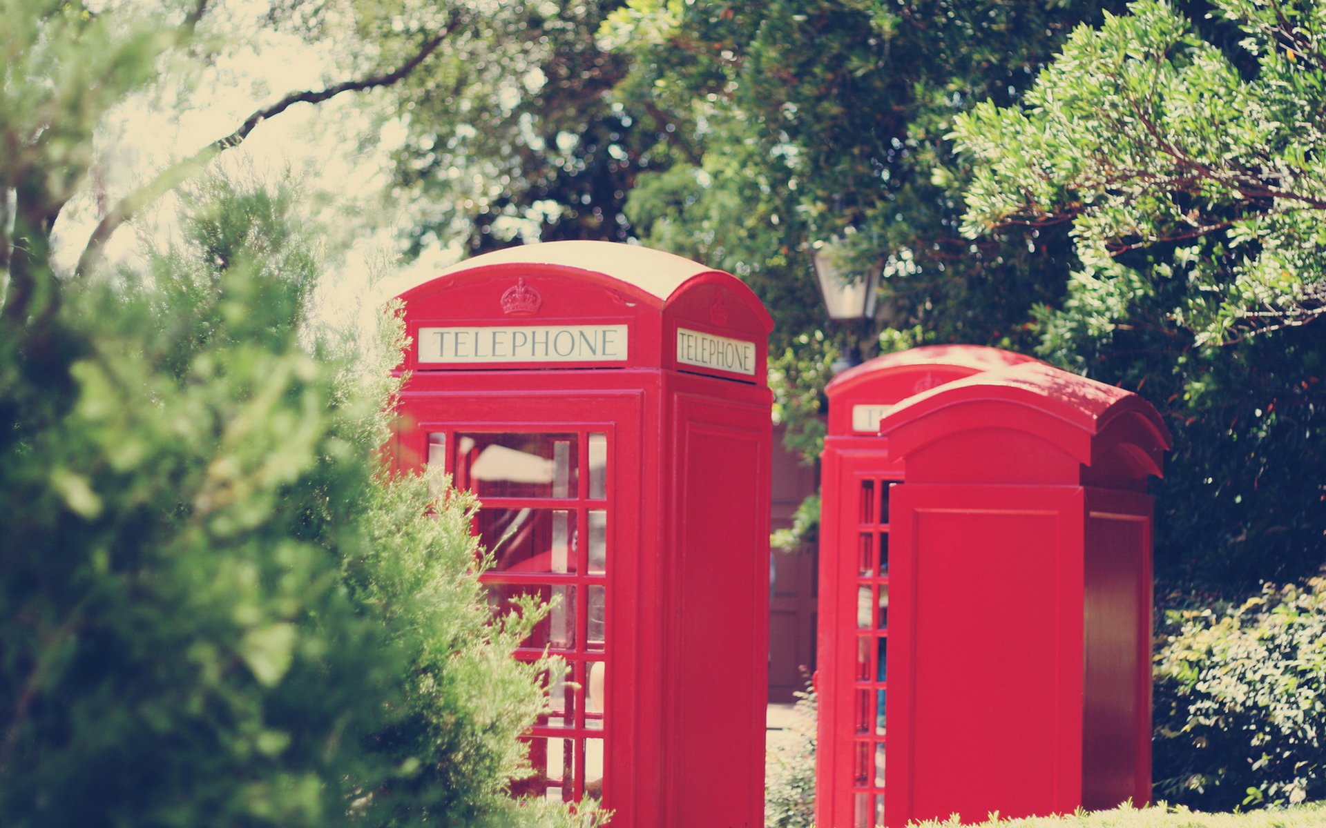 小清新,儿童桌面专用