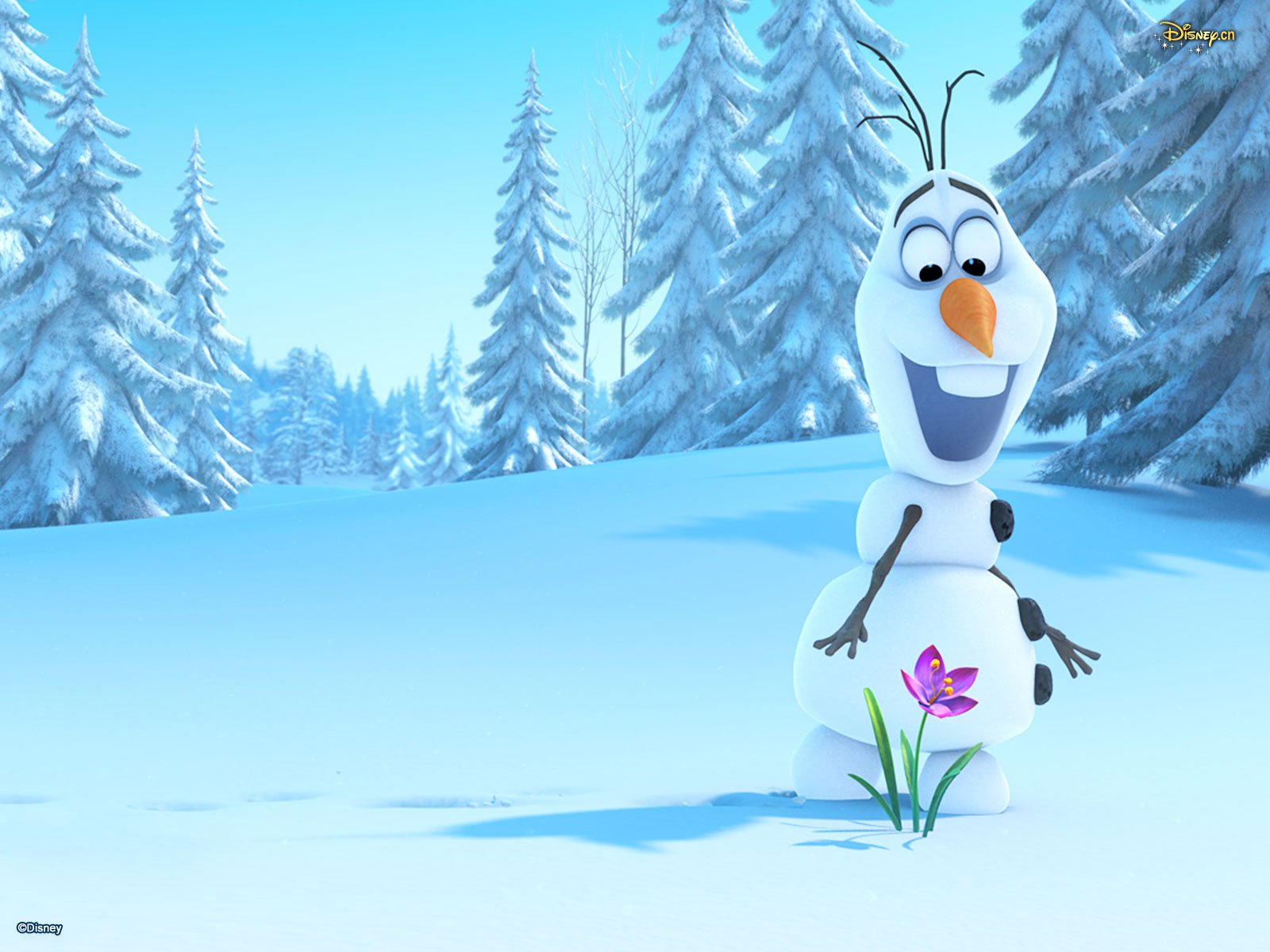 动漫,冰雪奇缘,儿童桌面专用