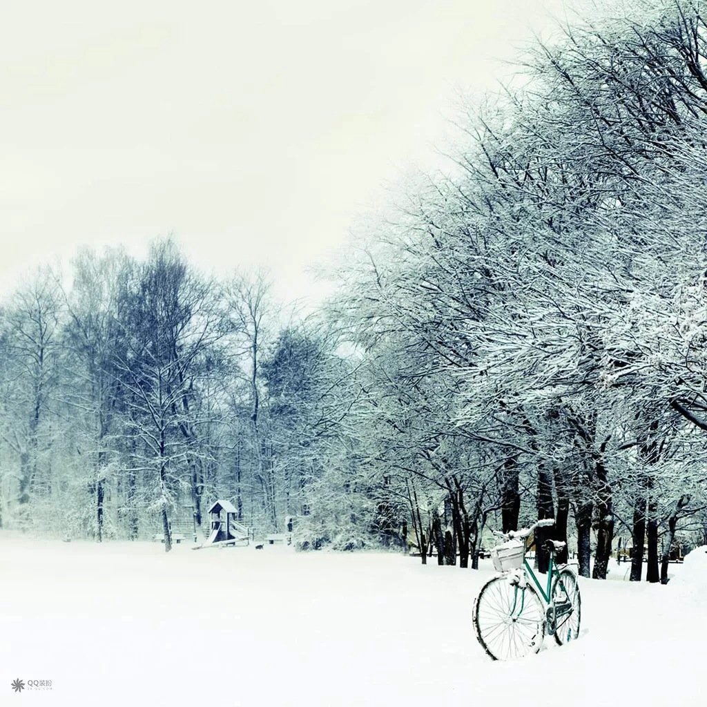 风景,儿童桌面专用