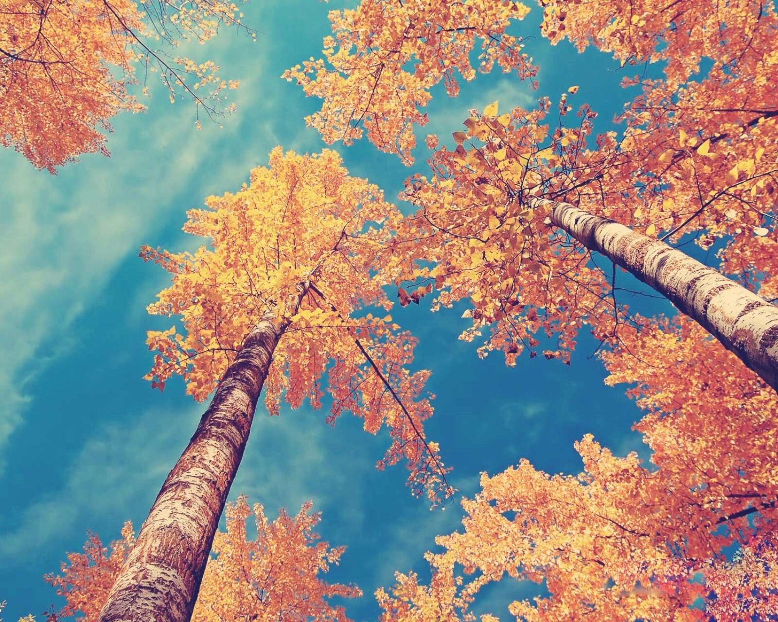 小清新,儿童桌面专用