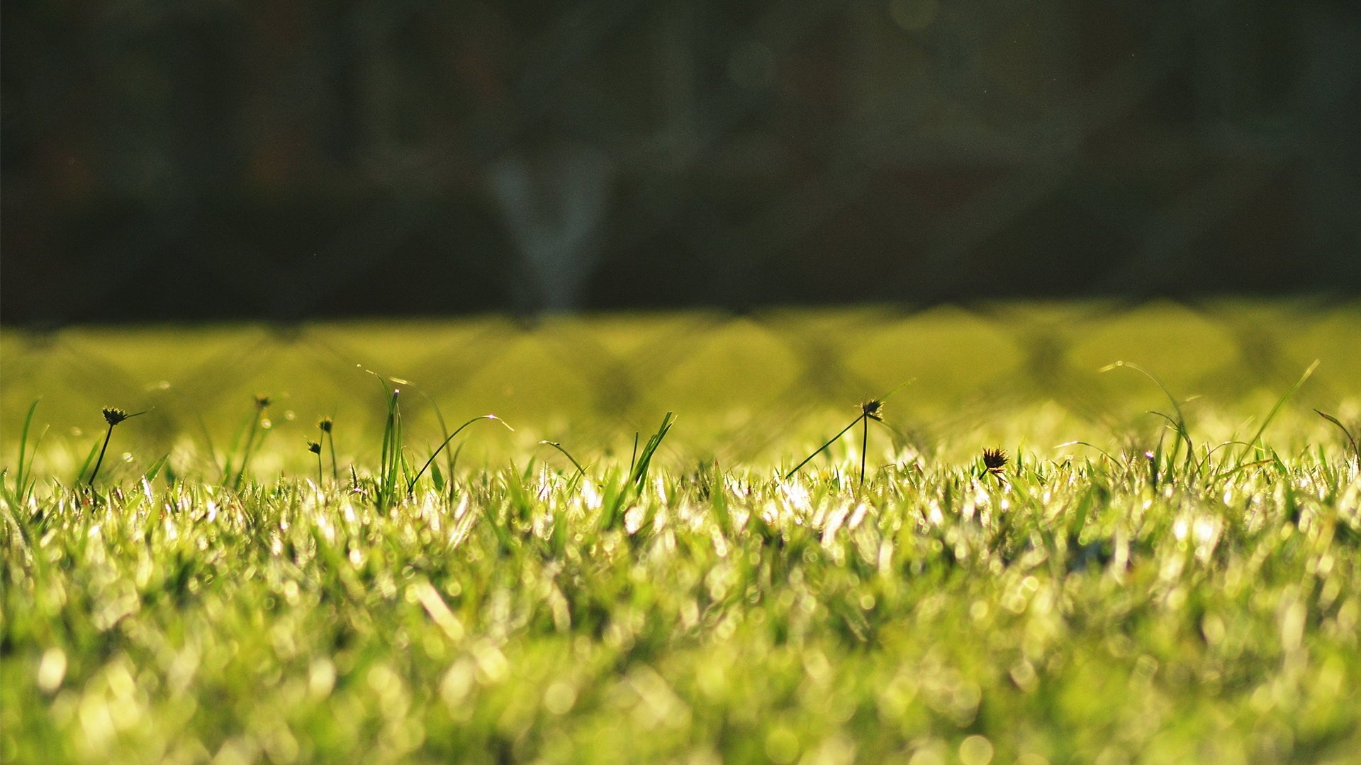 小清新,LOMO,意境,非主流,日系,儿童桌面专用