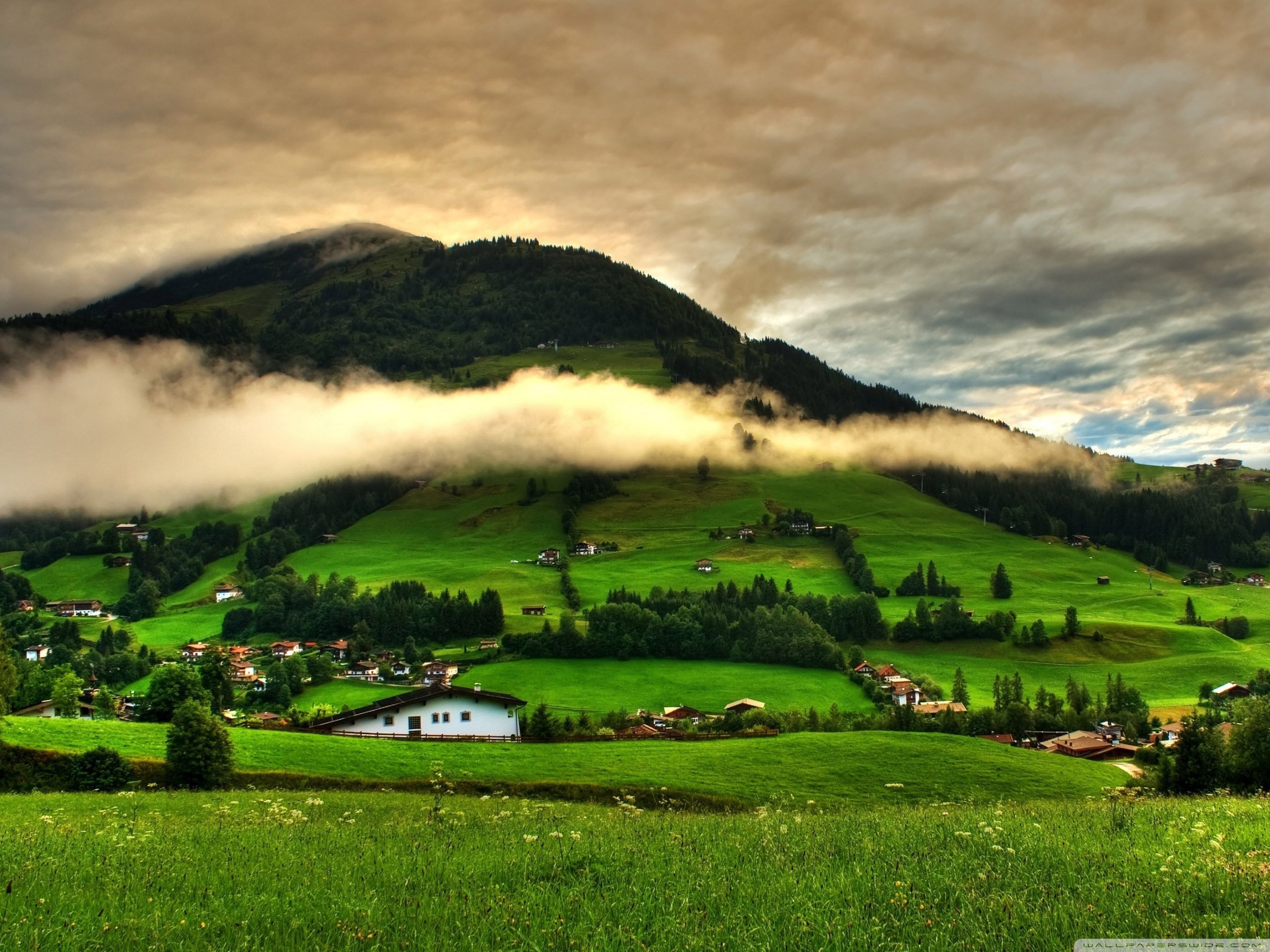 风景,儿童桌面专用