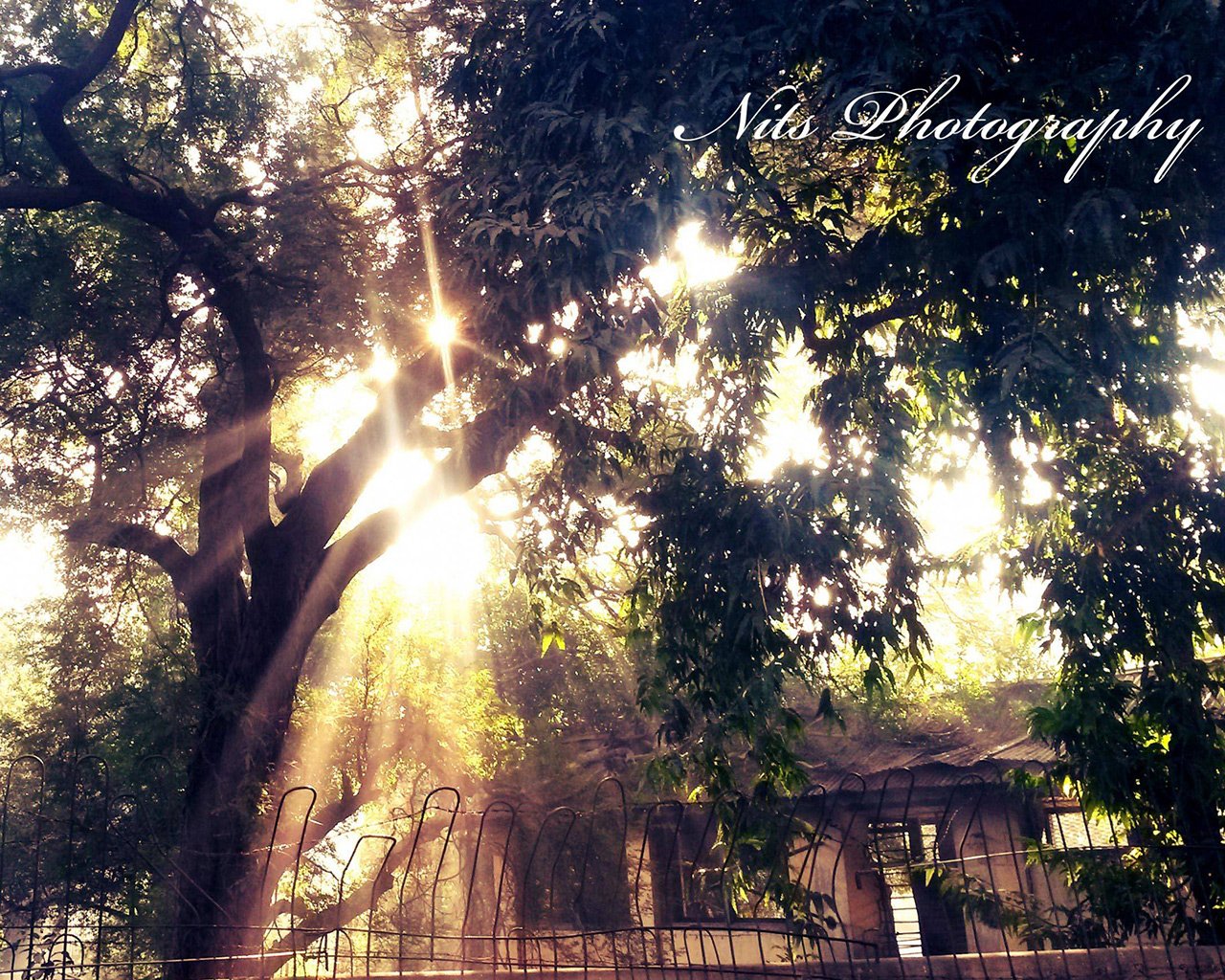 小清新,儿童桌面专用