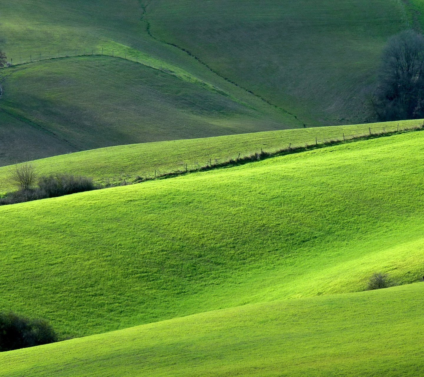 小清新,儿童桌面专用