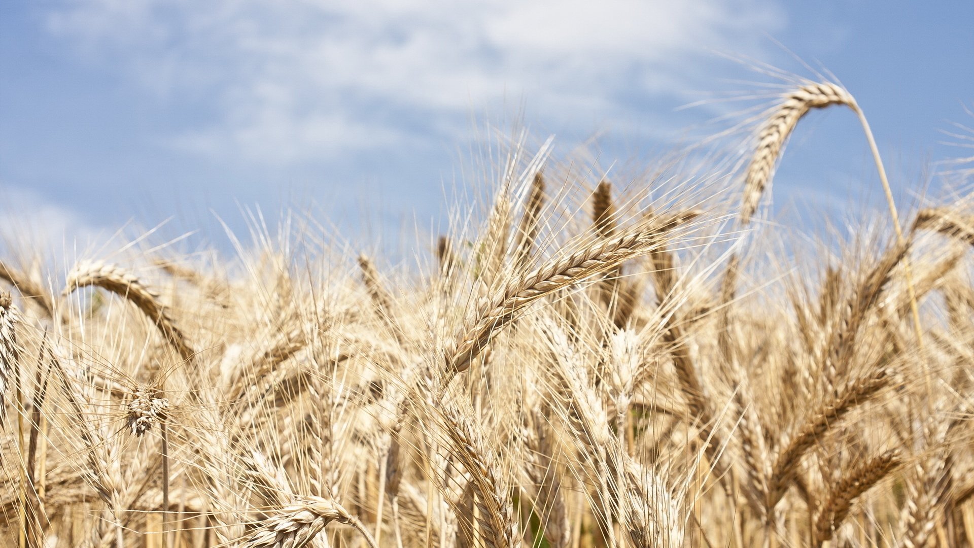 风景大片,心旷神怡,美景,儿童桌面专用