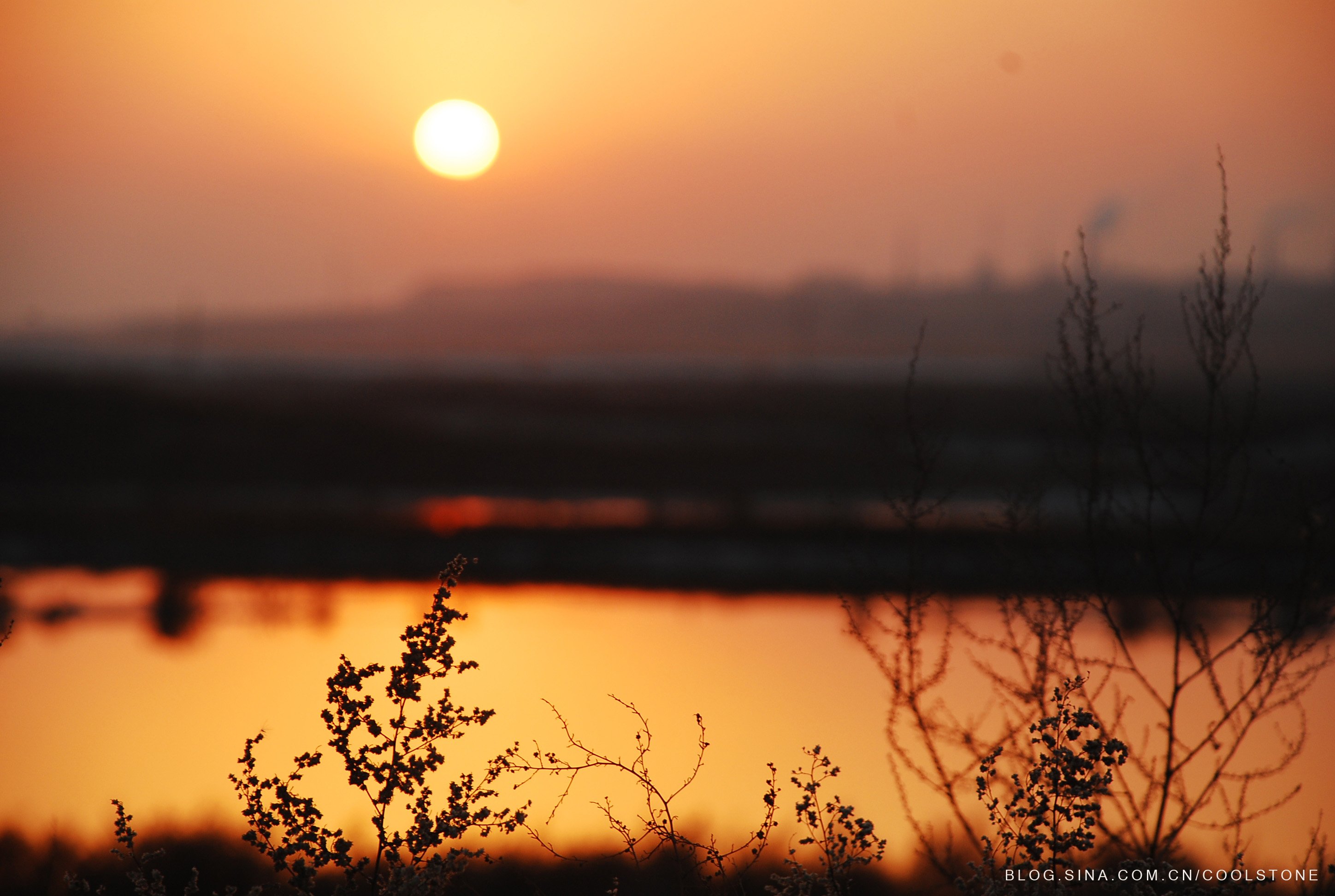 风景,儿童桌面专用