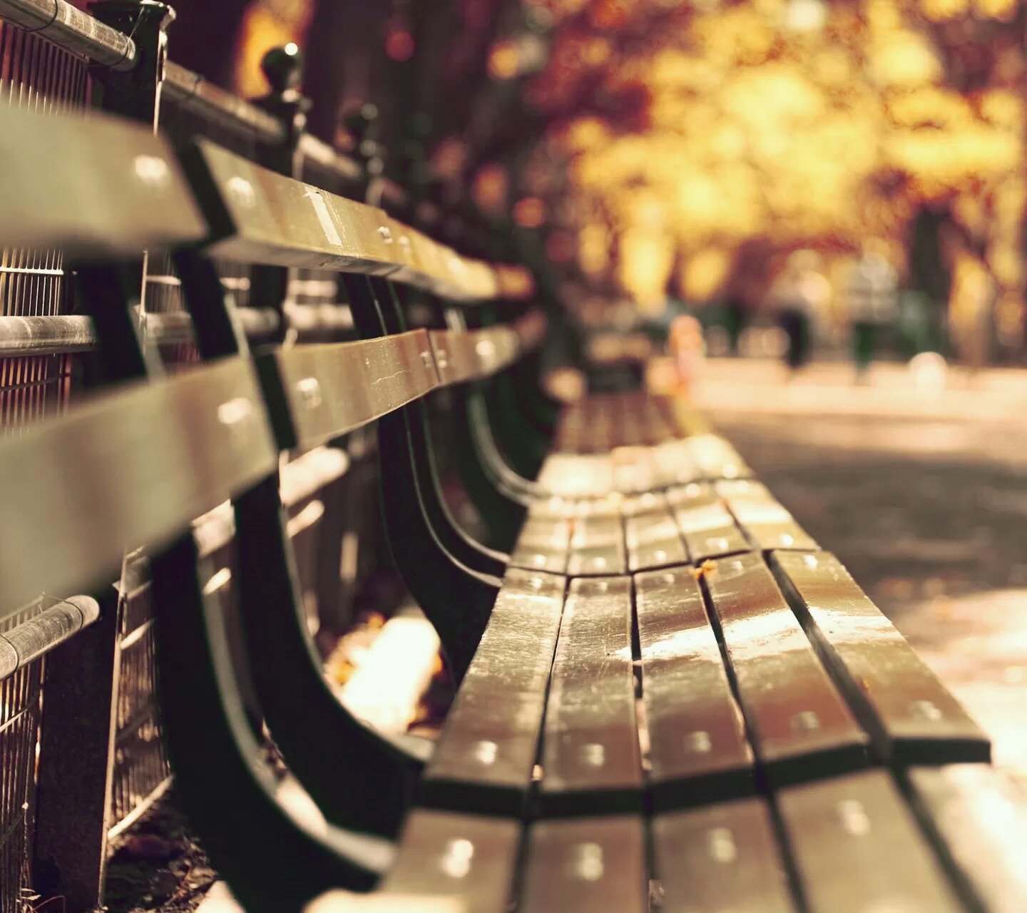 小清新,儿童桌面专用