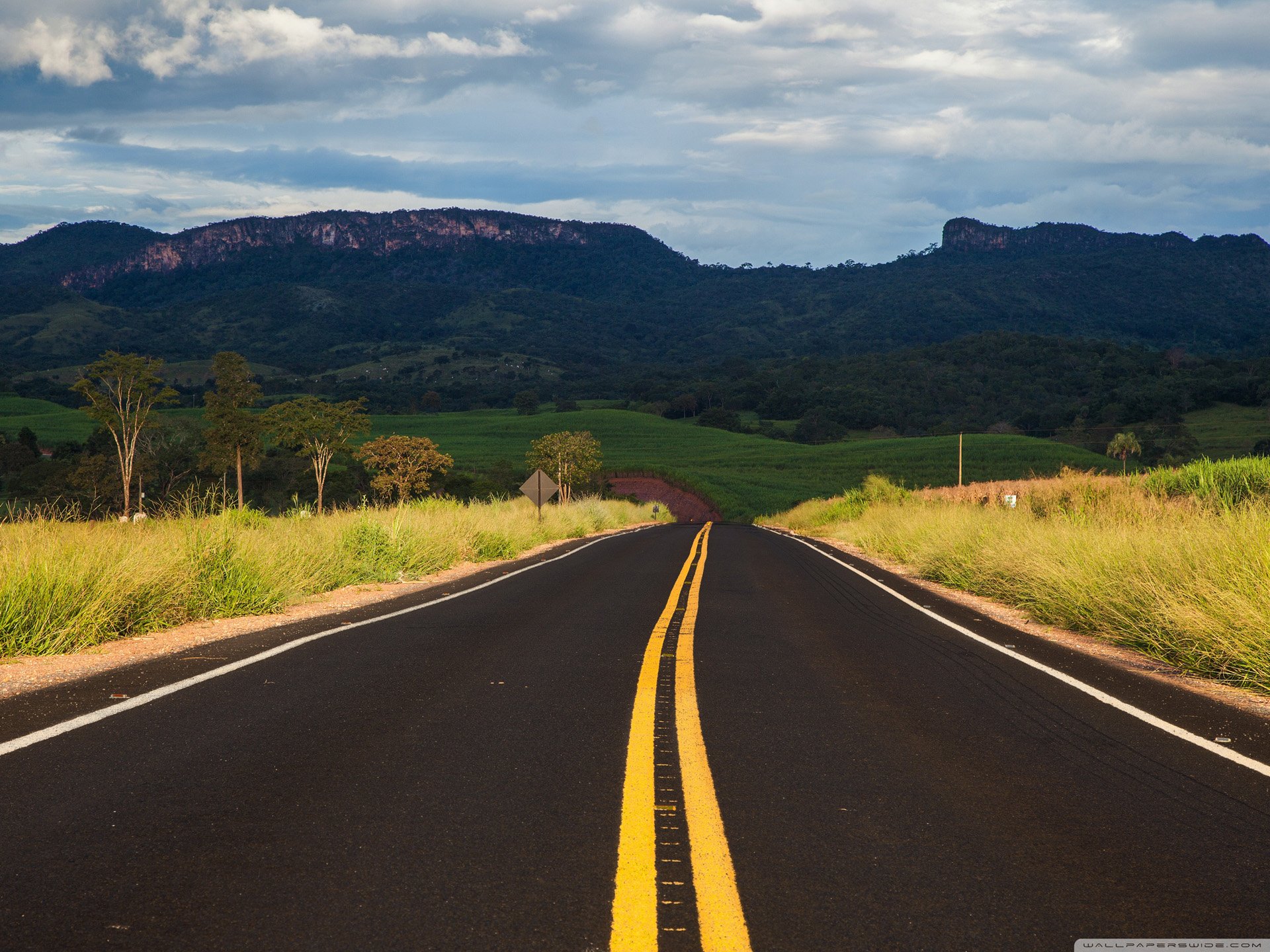风景,儿童桌面专用