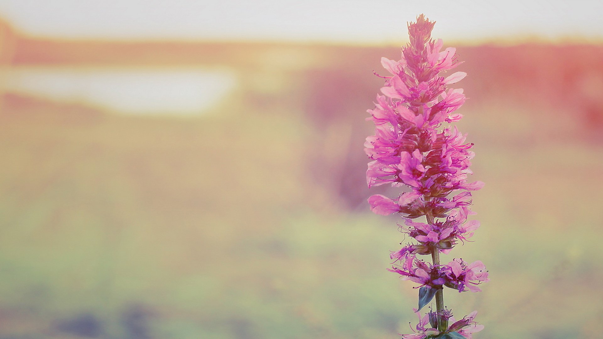 小清新,LOMO,意境,非主流,日系,儿童桌面专用