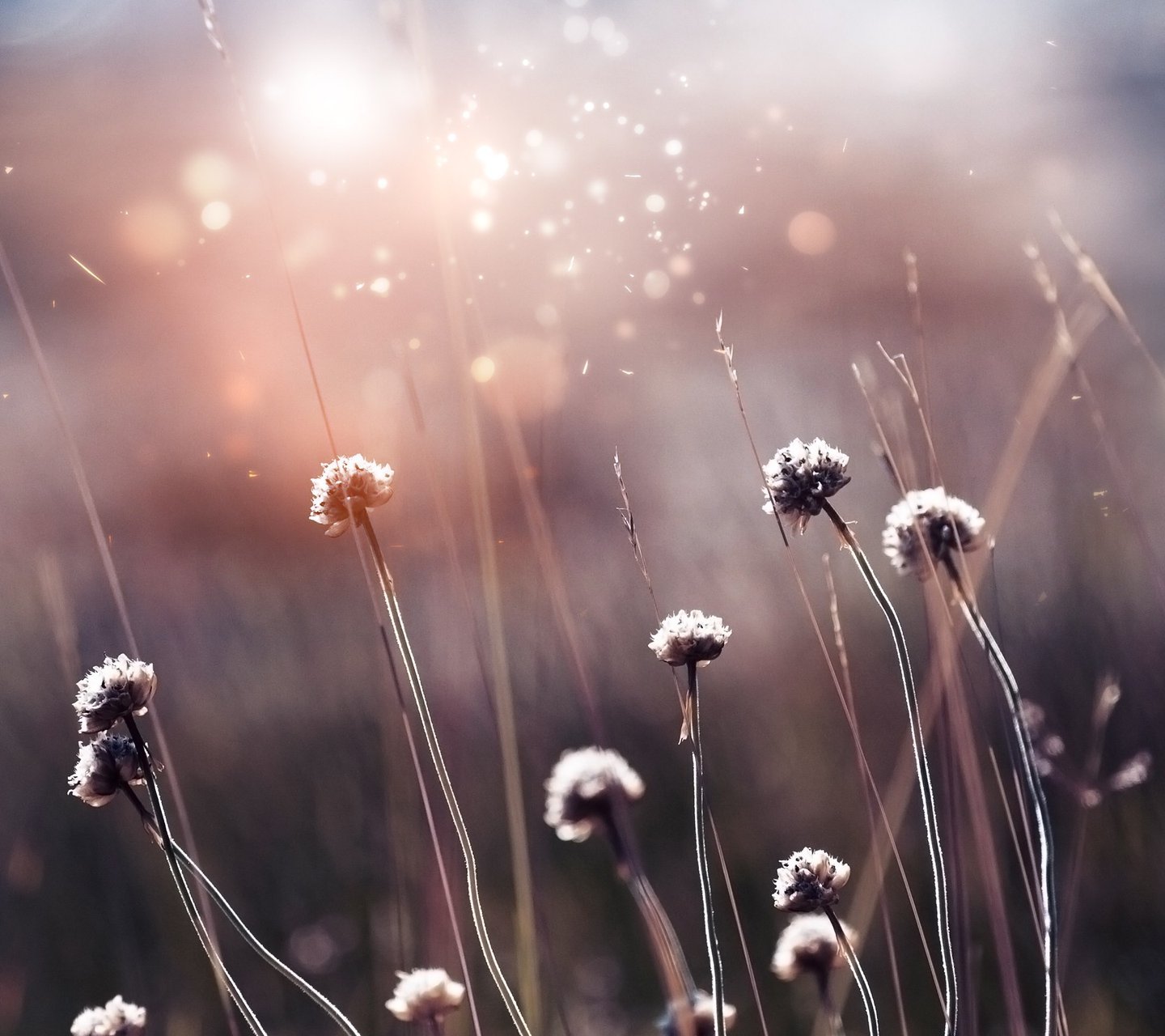 小清新,儿童桌面专用