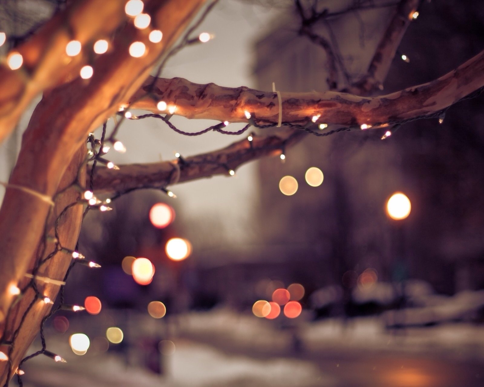 小清新,儿童桌面专用