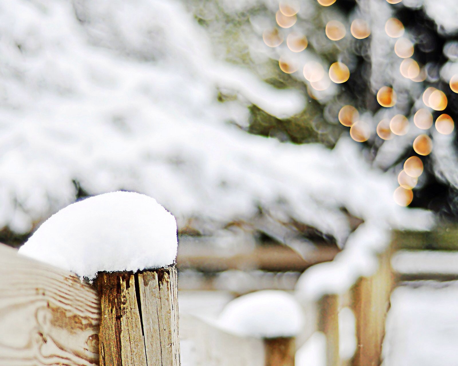 风景,儿童桌面专用