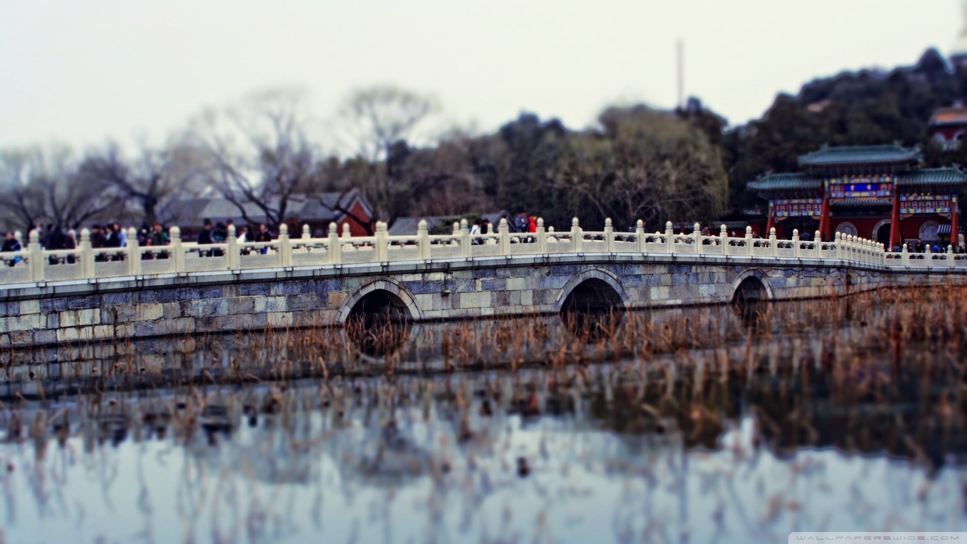 风景,儿童桌面专用
