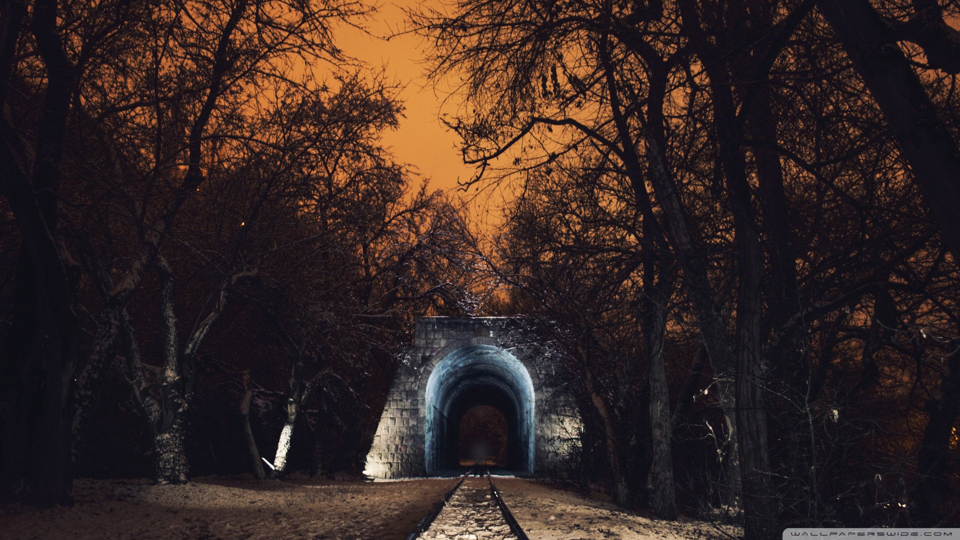 风景,儿童桌面专用