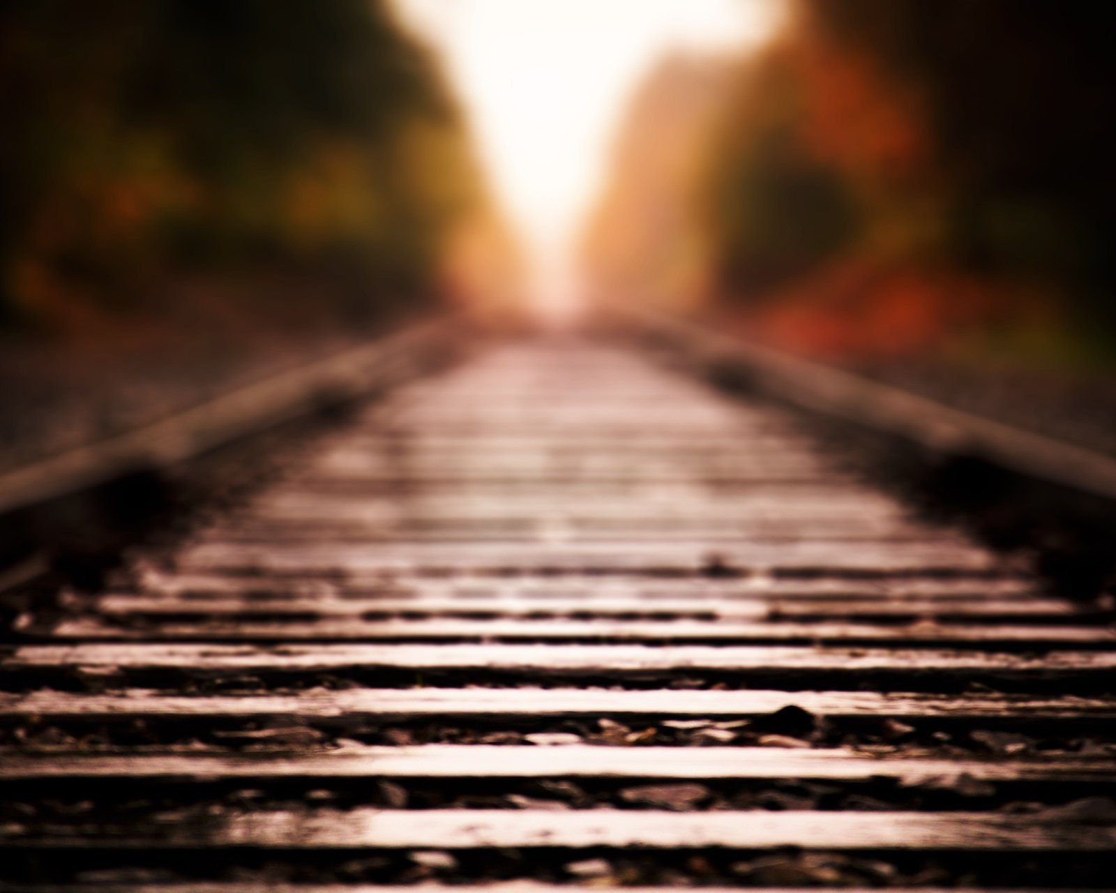 风景,儿童桌面专用