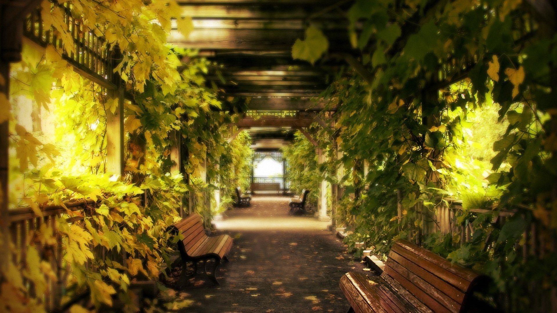 风景大片,美景,唯美,心旷神怡,儿童桌面专用