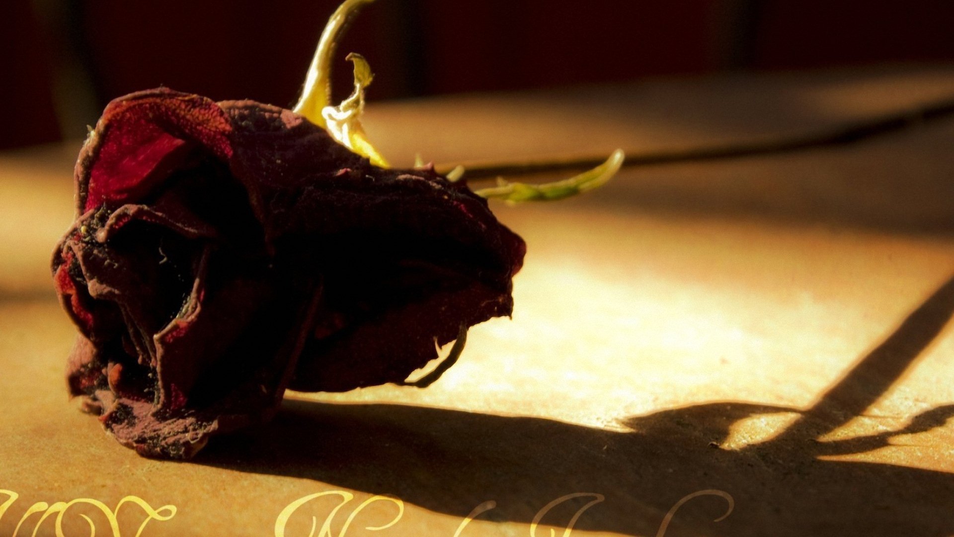 小清新,唯美,温暖,安静,阳光,温馨