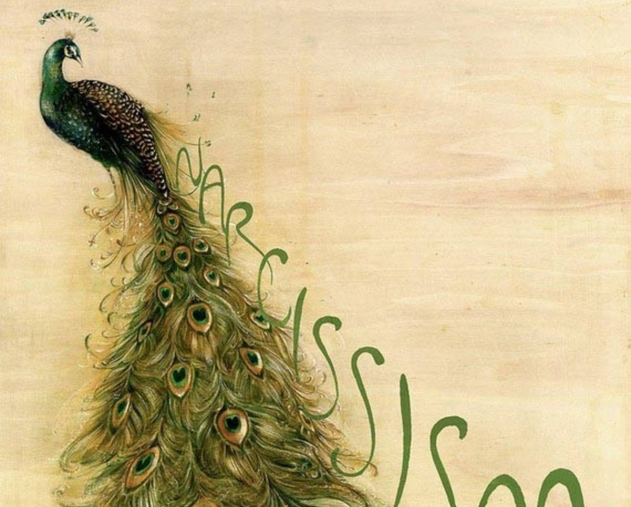 动漫,儿童桌面专用