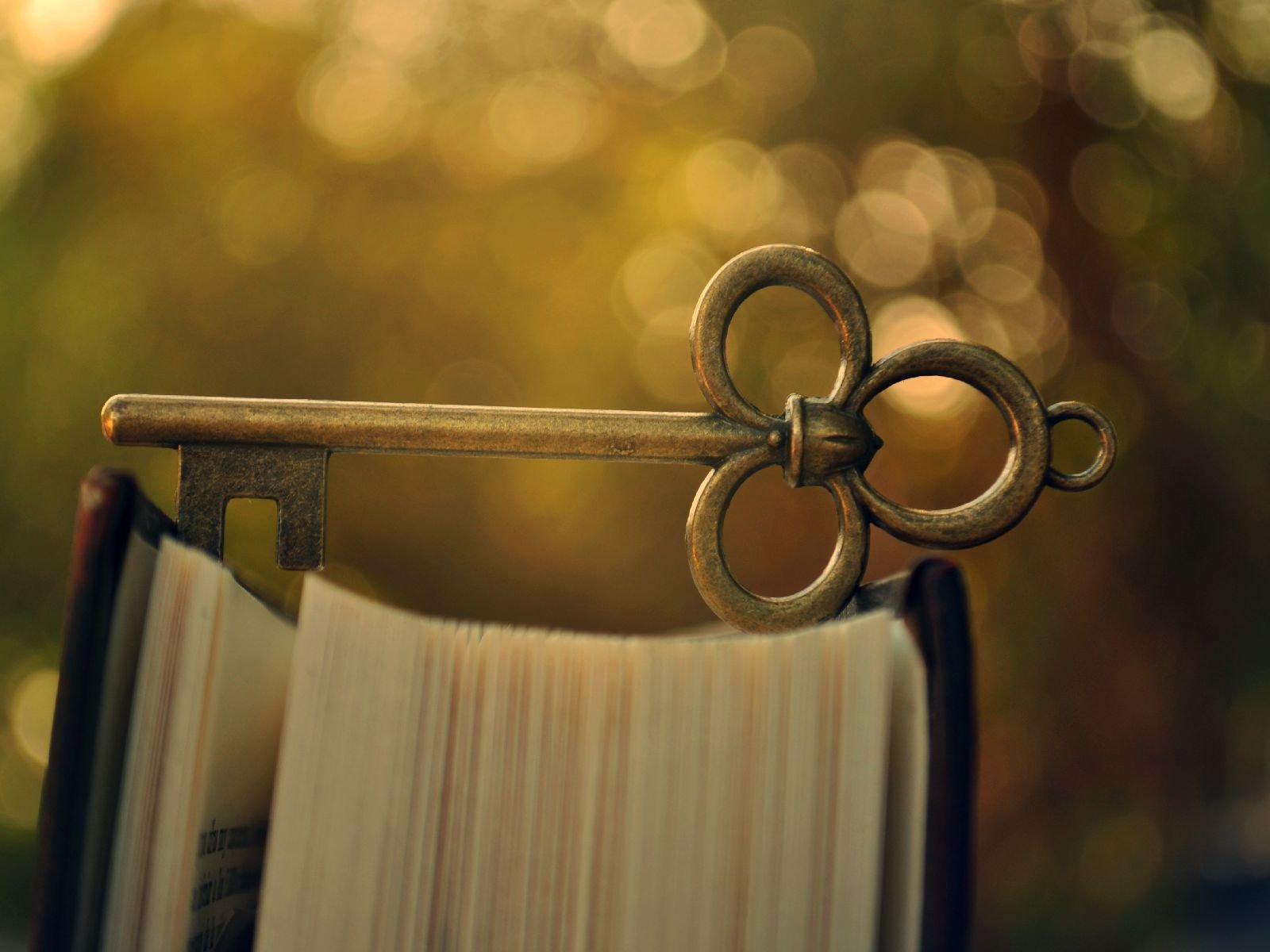 小清新,儿童桌面专用