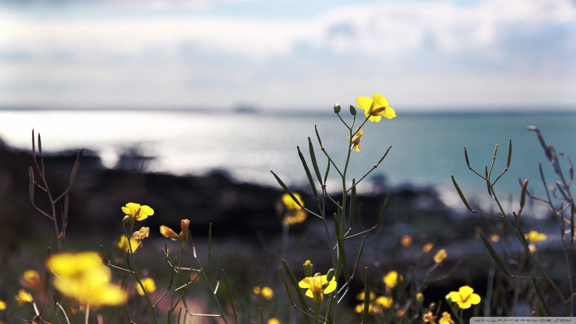 风景大片,美景,唯美,心旷神怡,儿童桌面专用