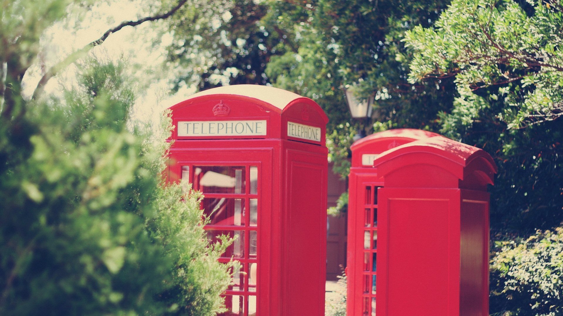 小清新,唯美,温暖,安静,阳光,温馨,儿童桌面专用