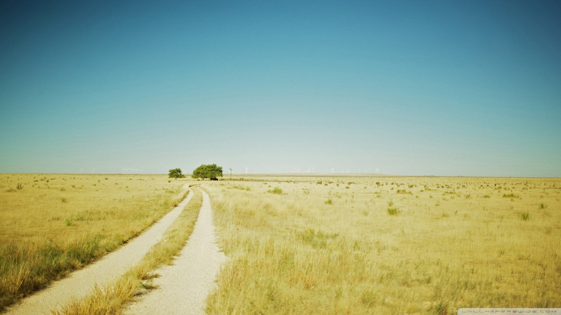 小清新,唯美,温暖,安静,阳光,温馨,儿童桌面专用