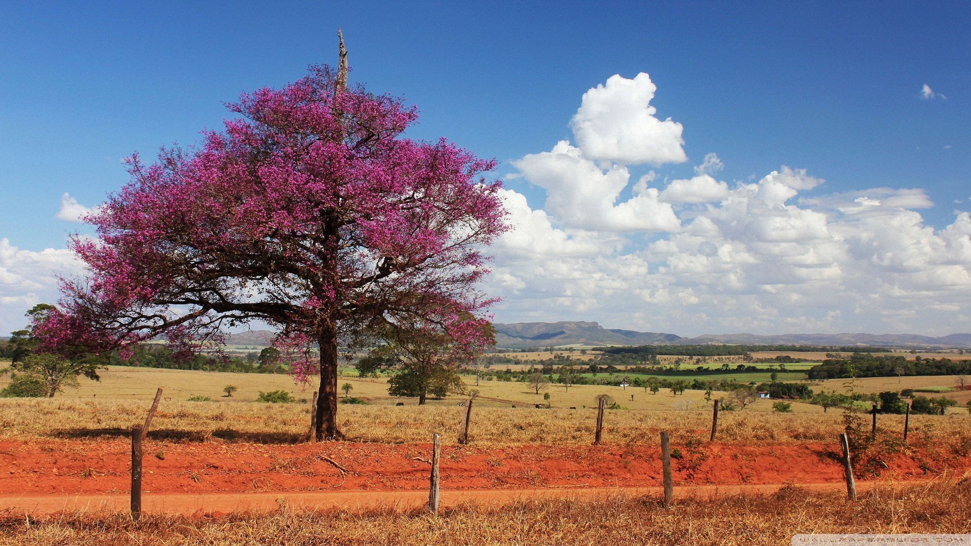 风景大片,美景,唯美,心旷神怡
