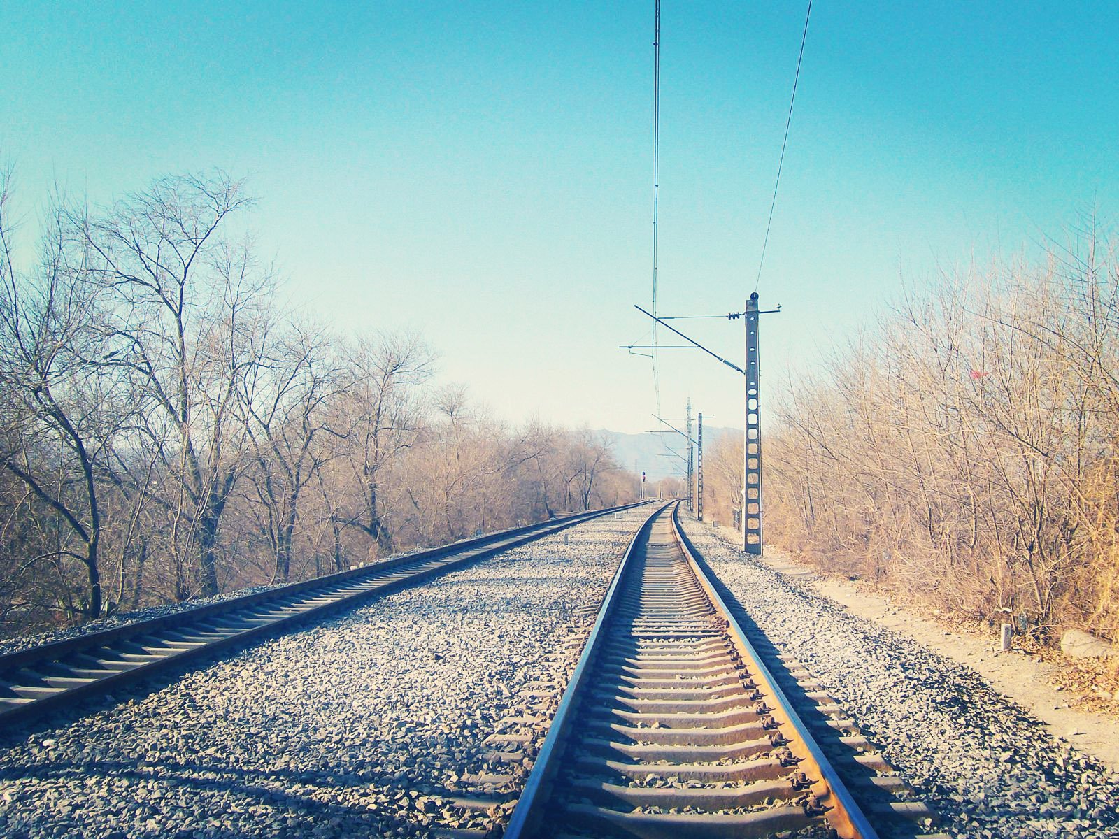 风景,儿童桌面专用