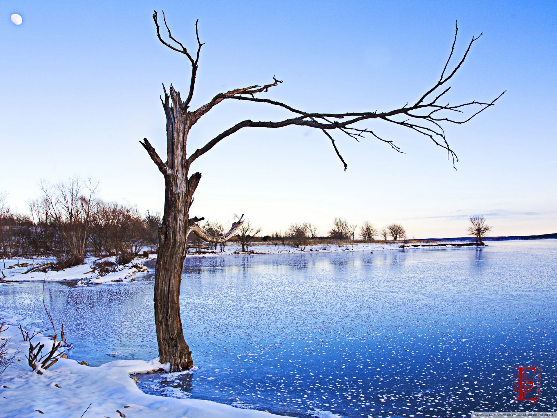 风景,儿童桌面专用