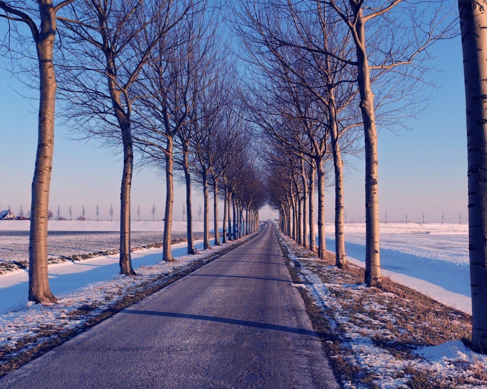 风景,儿童桌面专用