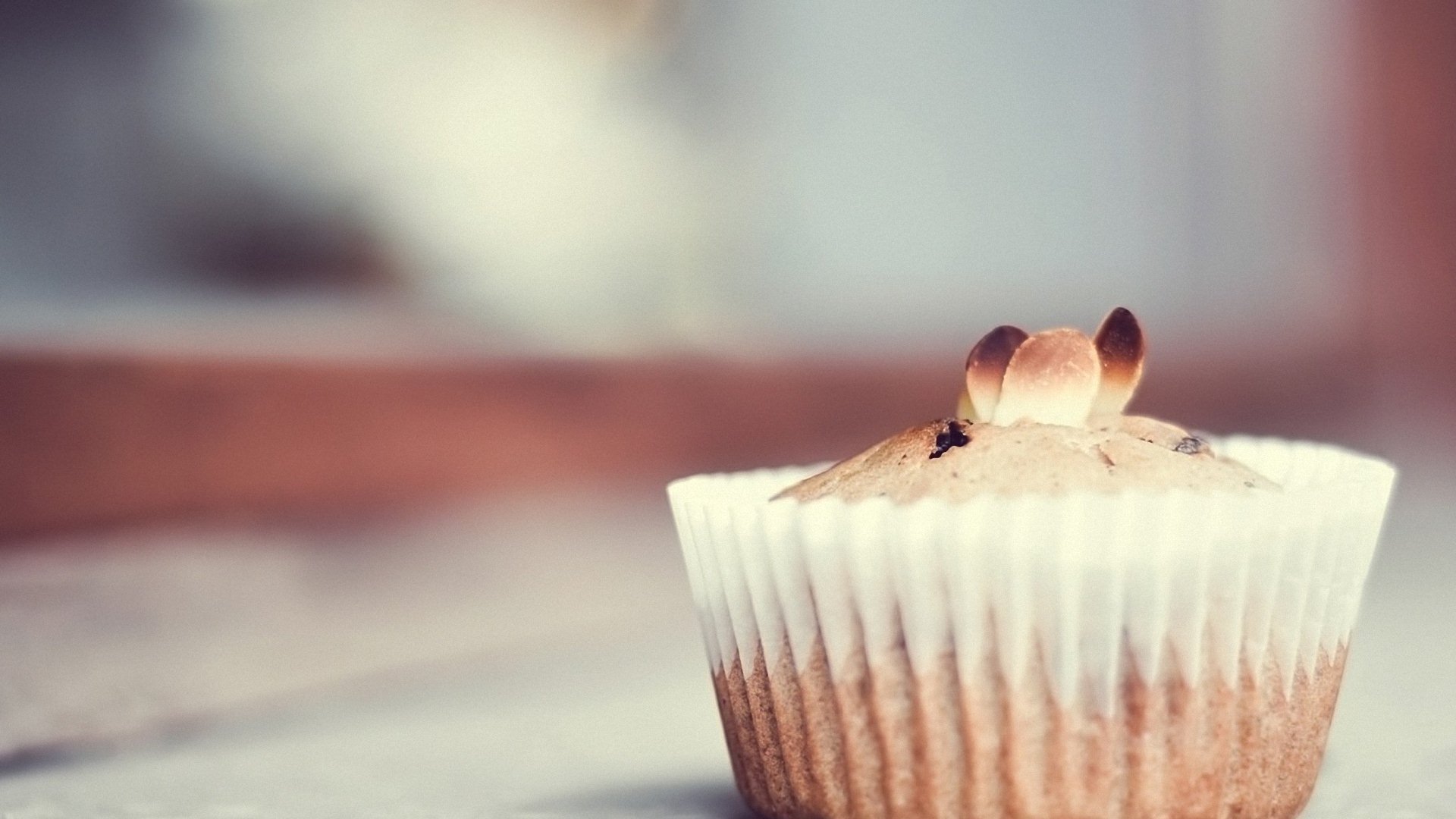 小清新,唯美,温暖,安静,阳光,温馨,儿童桌面专用