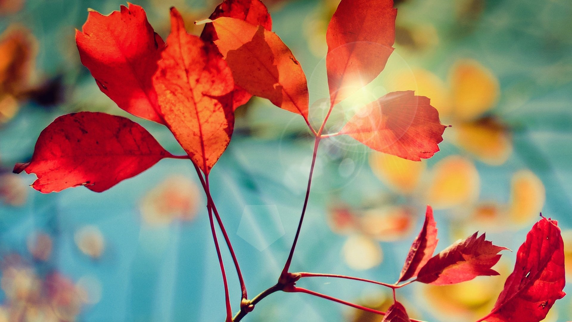 风景,春意盎然,儿童桌面专用