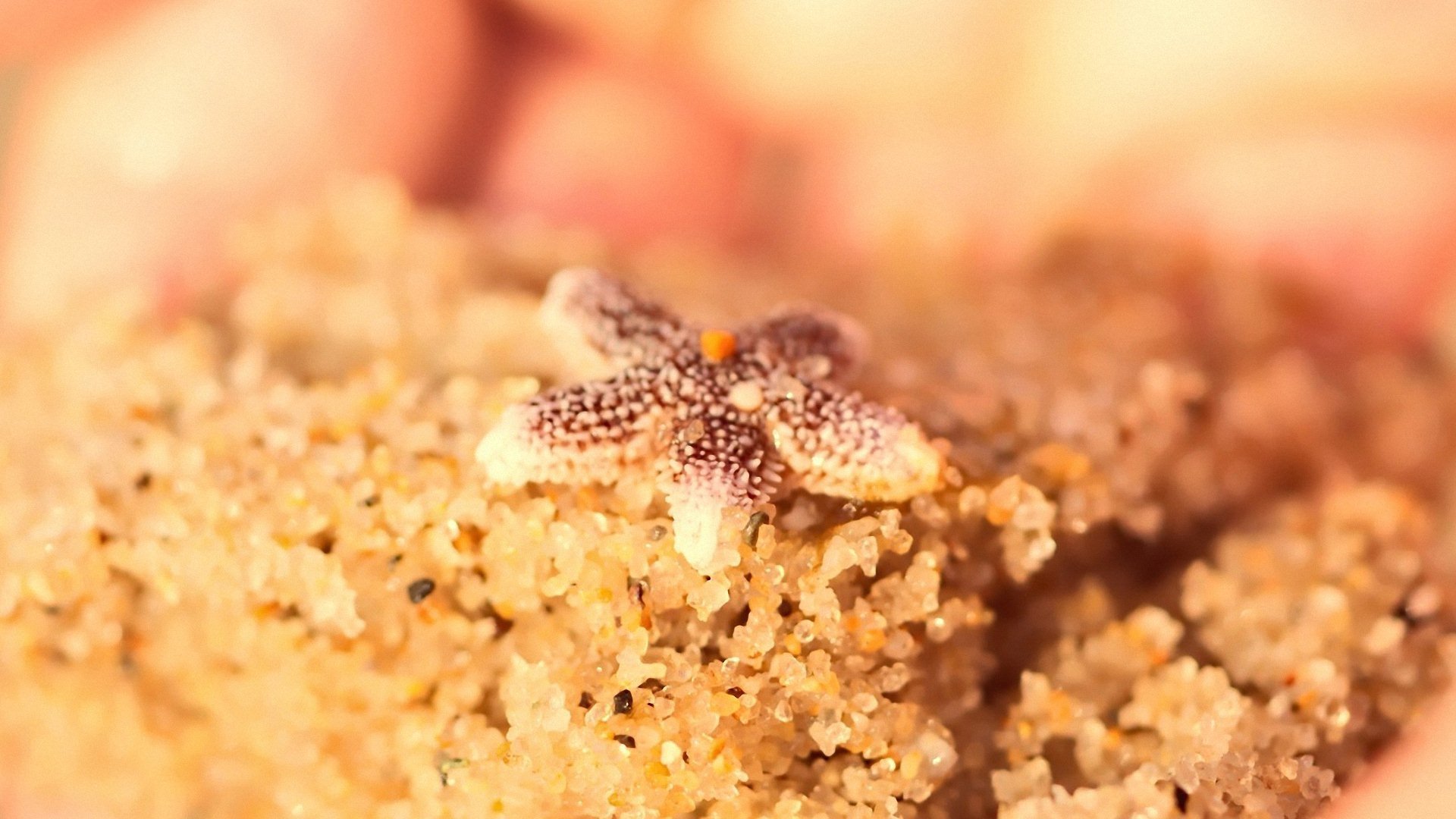 小清新,唯美,温暖,安静,阳光,温馨,儿童桌面专用