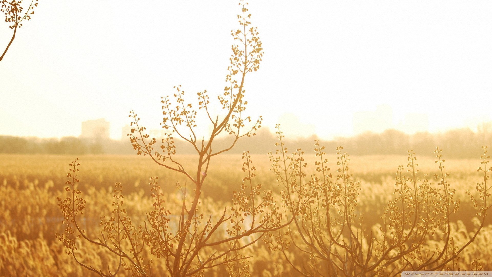 小清新,唯美,温暖,安静,阳光,温馨,儿童桌面专用