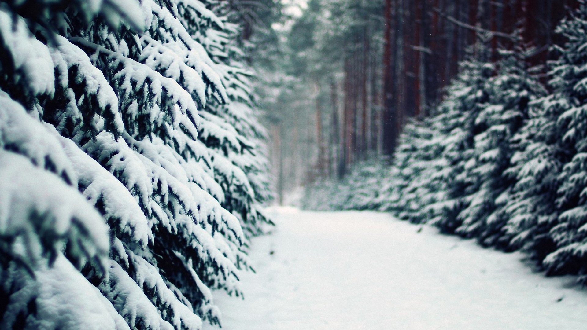 风景大片,美景,唯美,心旷神怡,儿童桌面专用