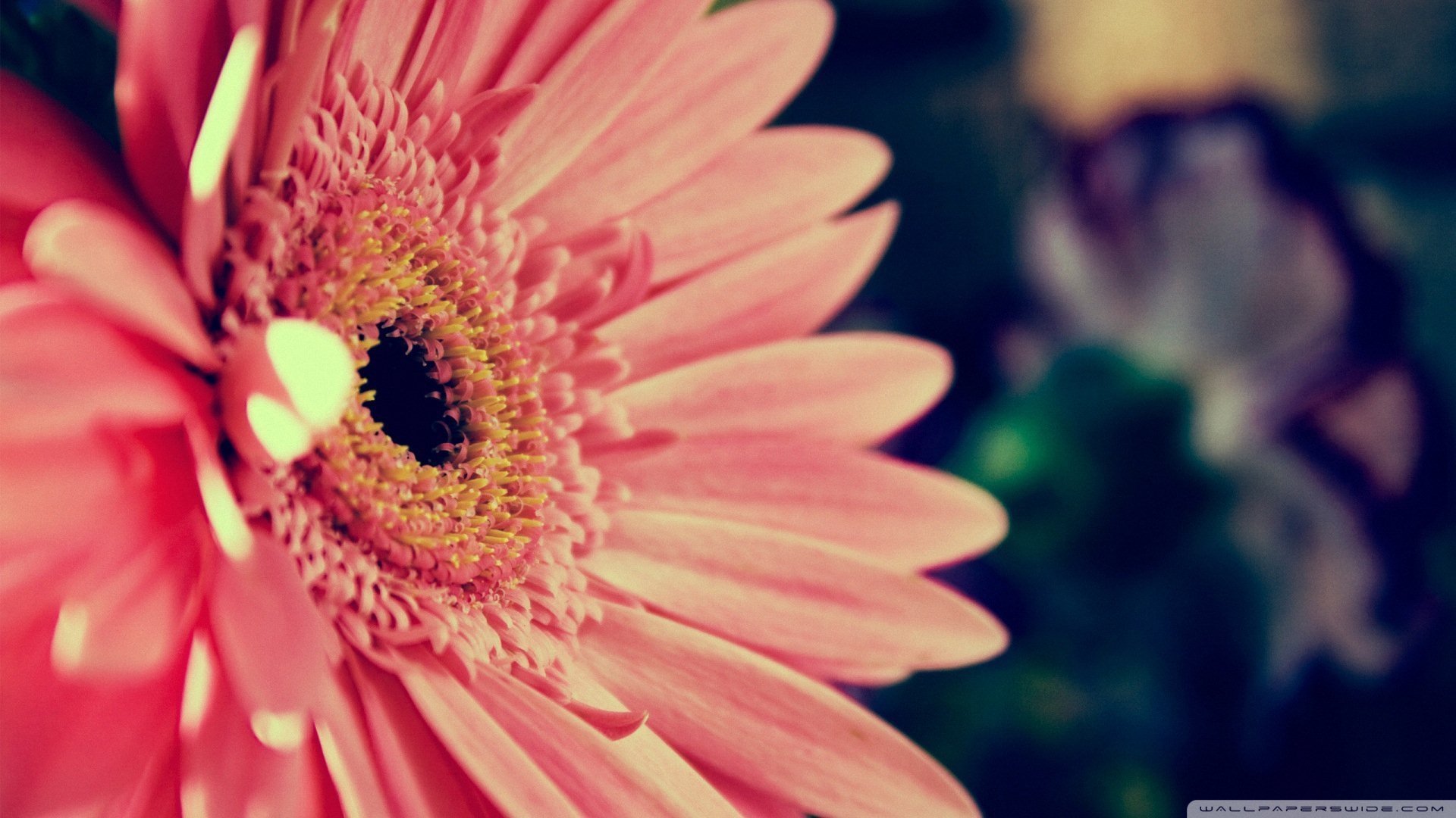 小清新,唯美,温暖,安静,阳光,温馨,儿童桌面专用