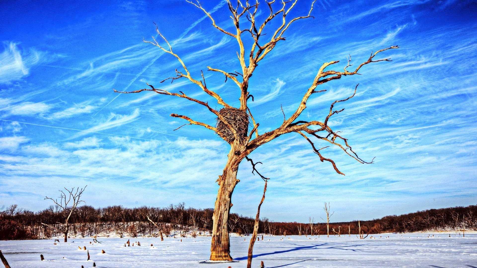 风景大片,美景,唯美,心旷神怡