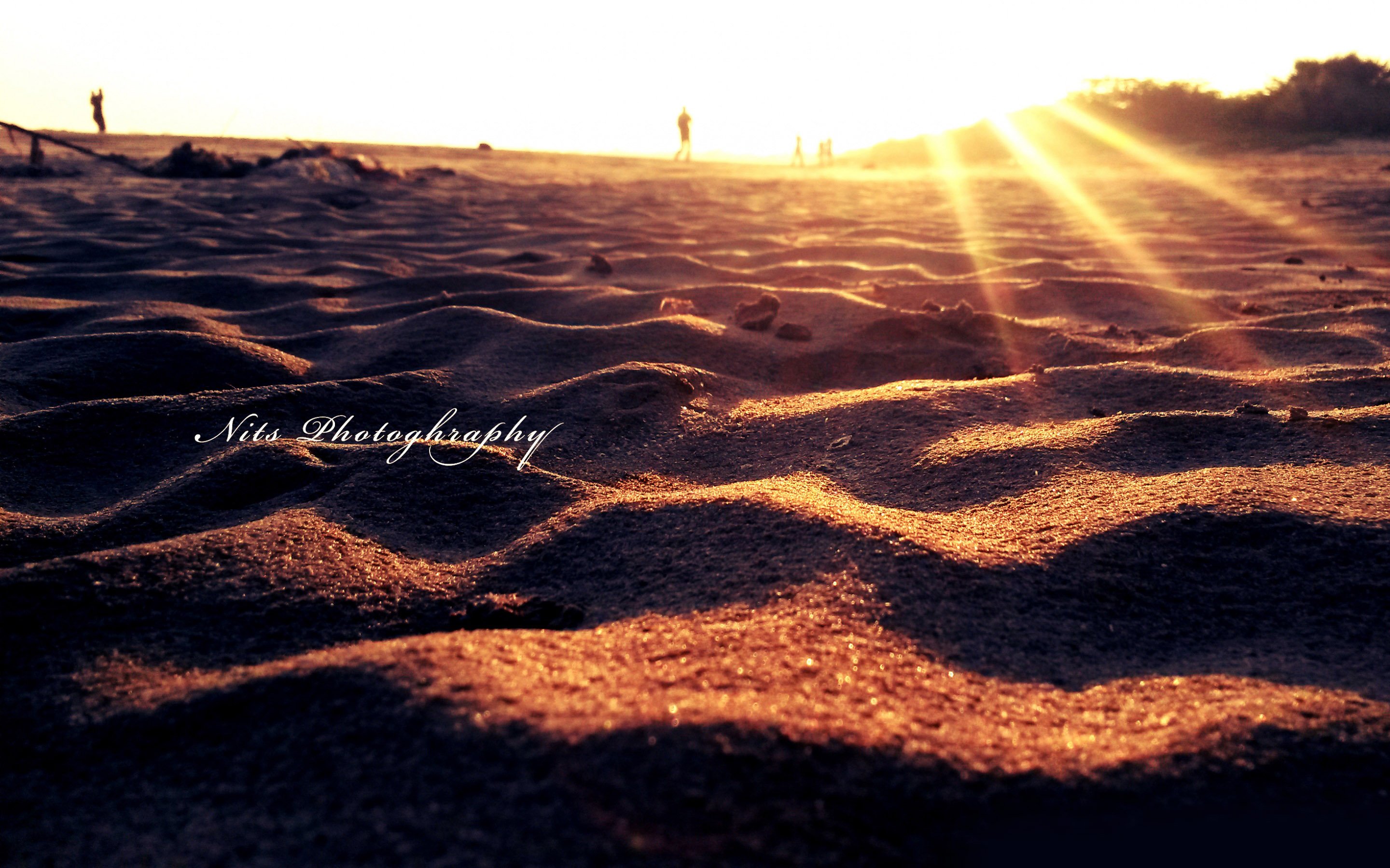 风景,儿童桌面专用