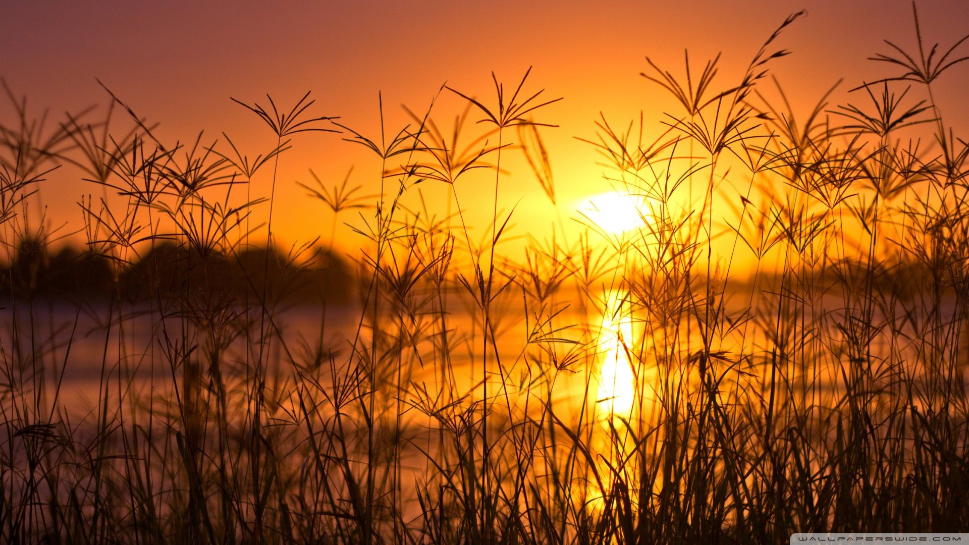 风景,儿童桌面专用