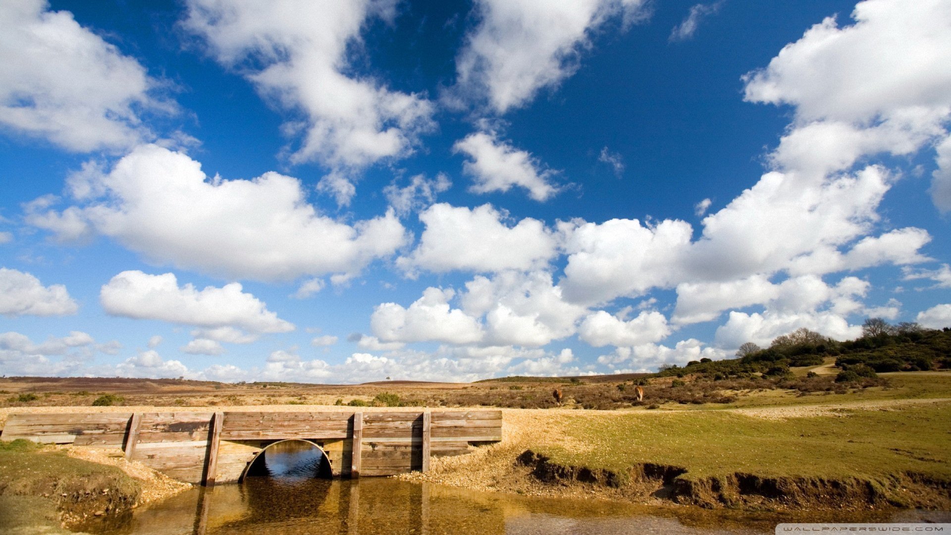 风景大片,美景,唯美,心旷神怡,儿童桌面专用