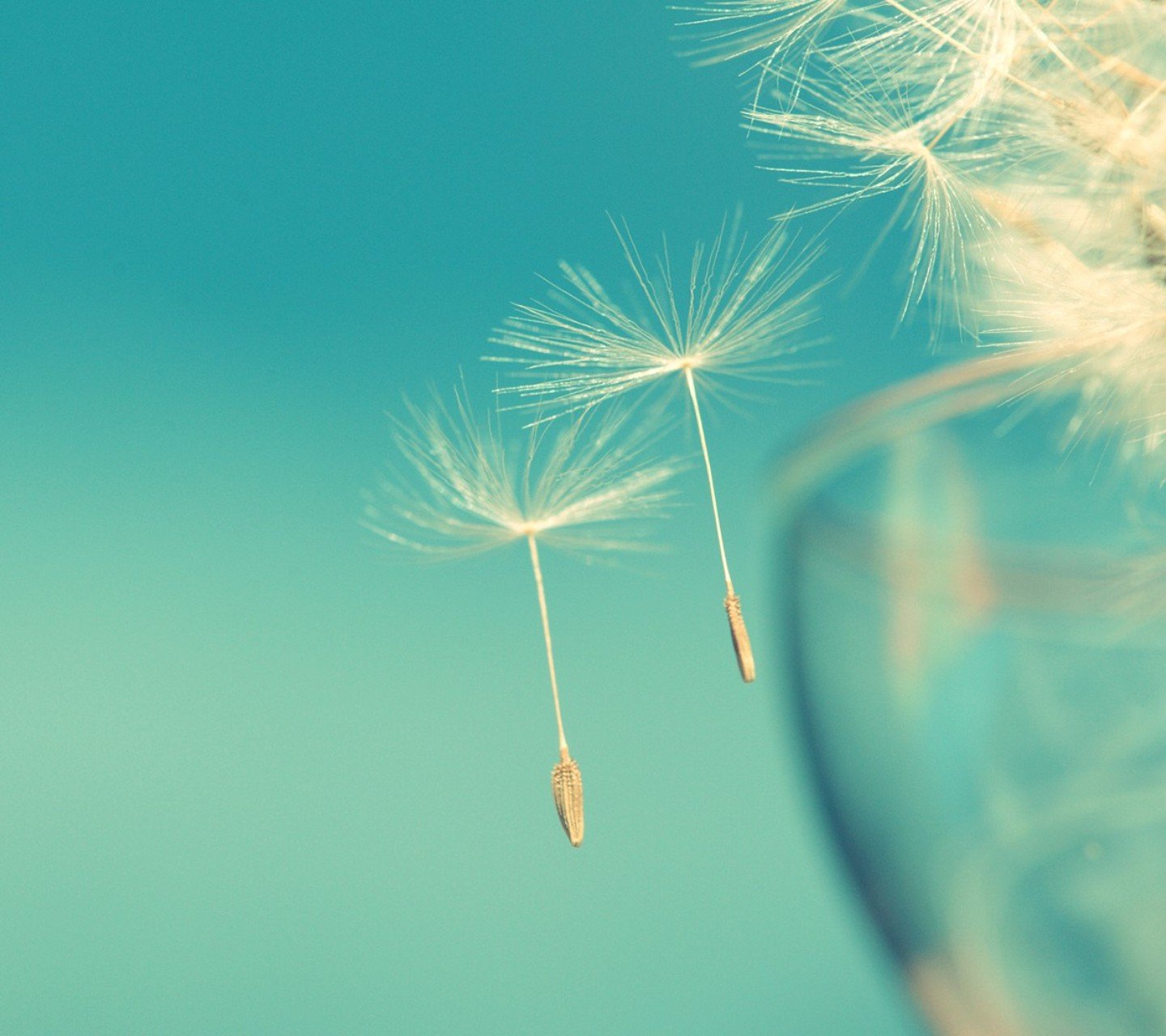 小清新,儿童桌面专用