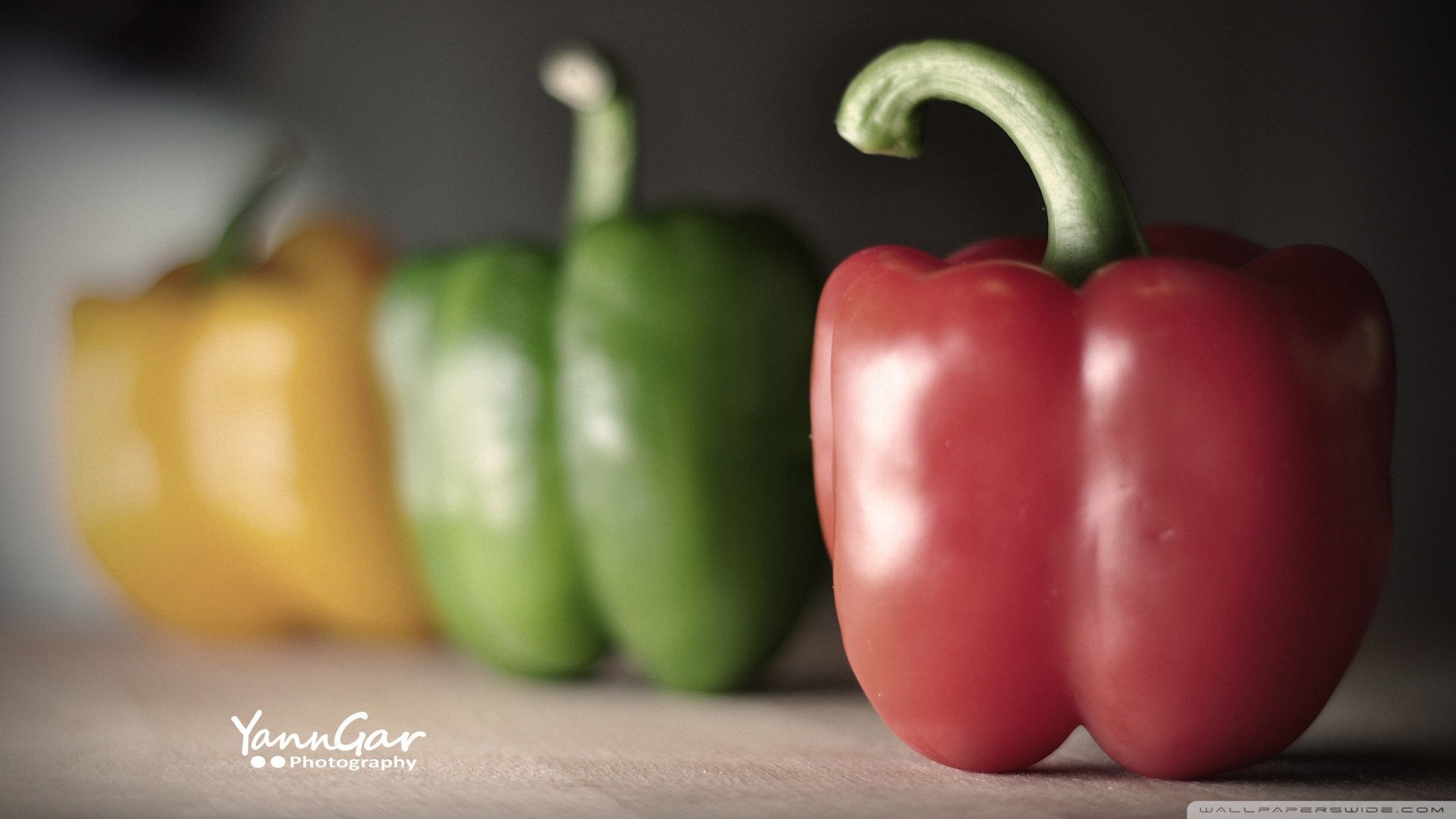 小清新,唯美,温暖,安静,阳光,温馨,儿童桌面专用