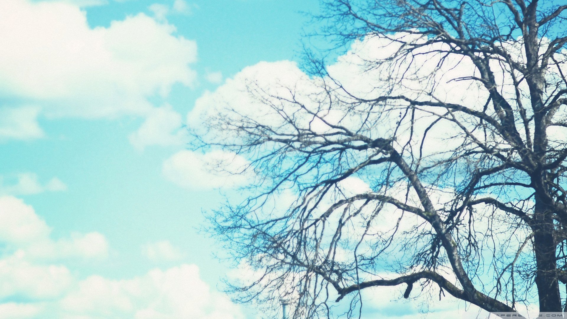 风景大片,美景,唯美,心旷神怡,儿童桌面专用