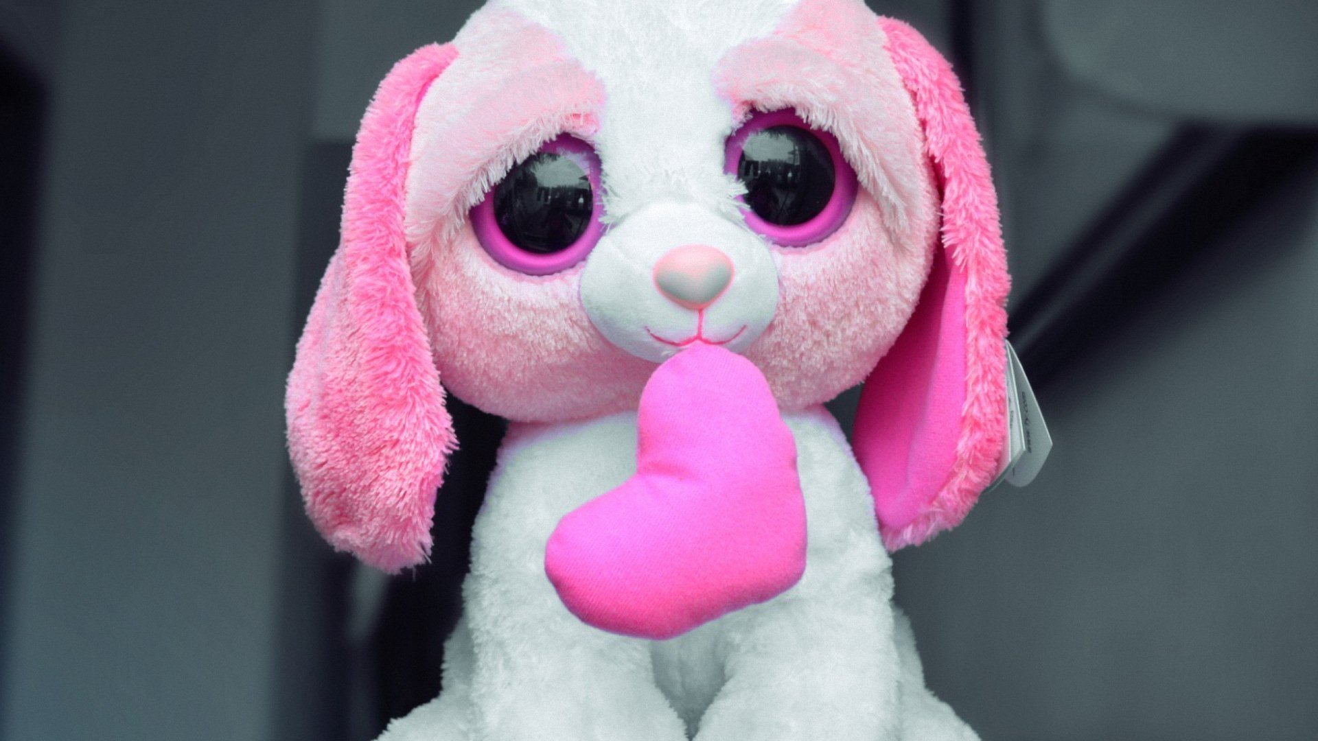 小清新,唯美,温暖,安静,阳光,温馨,儿童桌面专用