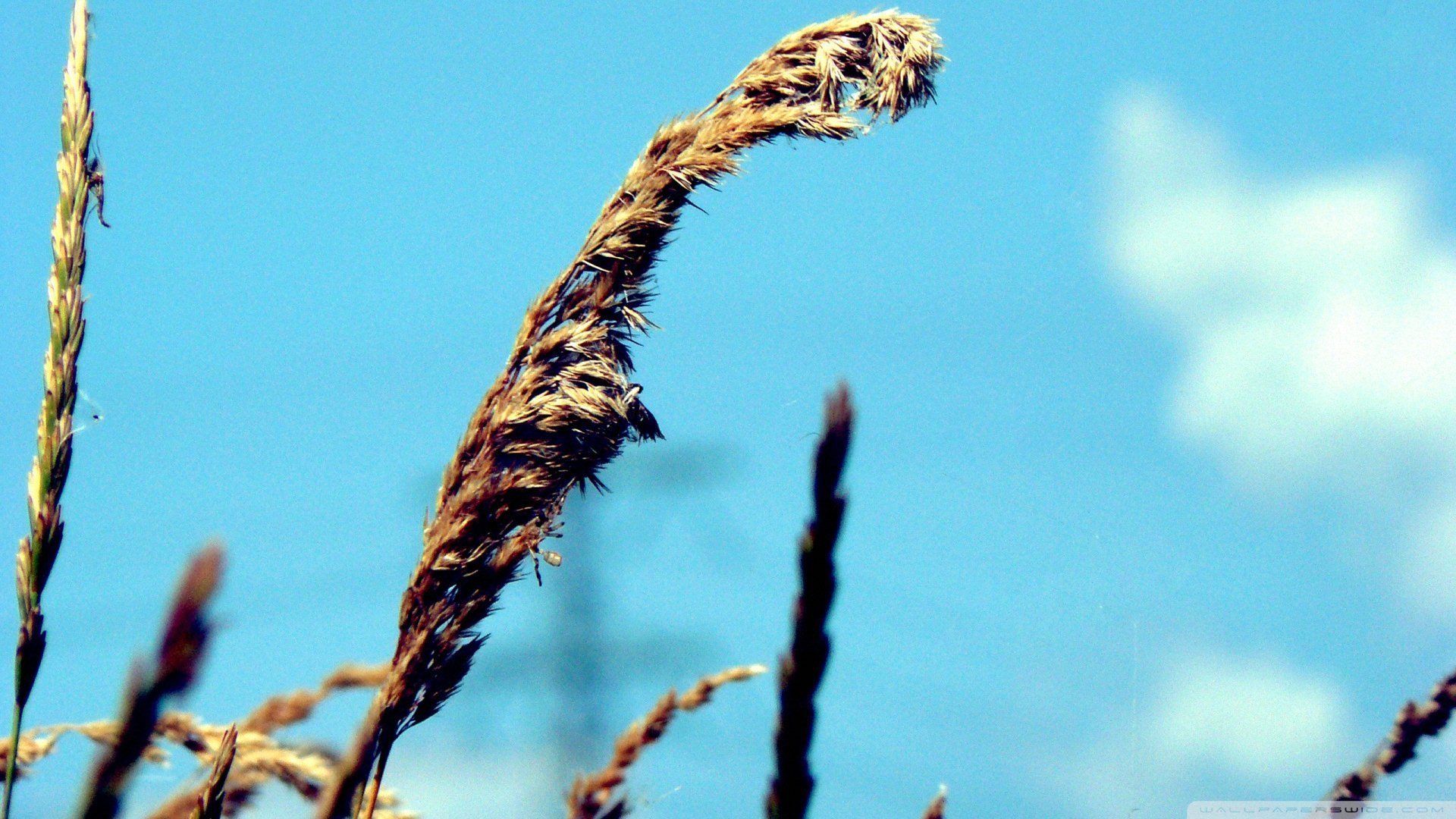 风景大片,美景,唯美,心旷神怡,儿童桌面专用